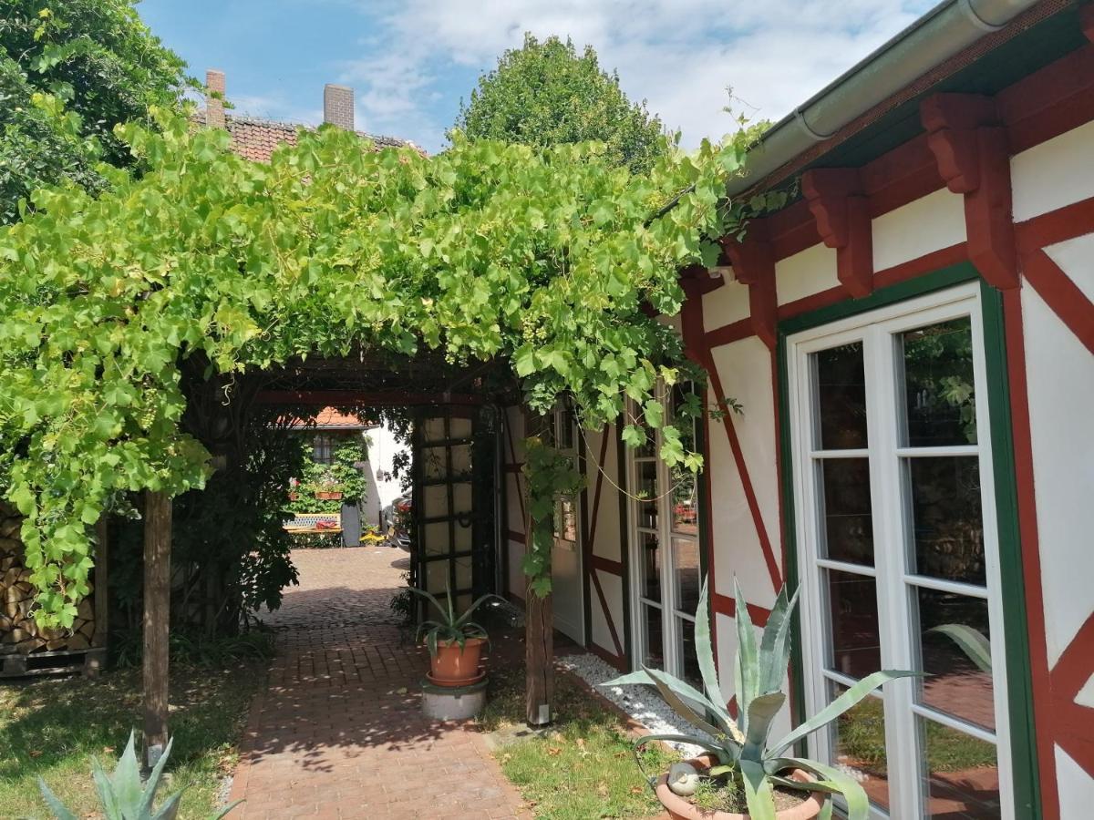 Stilvolles Ferienhaus Artdeco Wernigerode Eksteriør billede