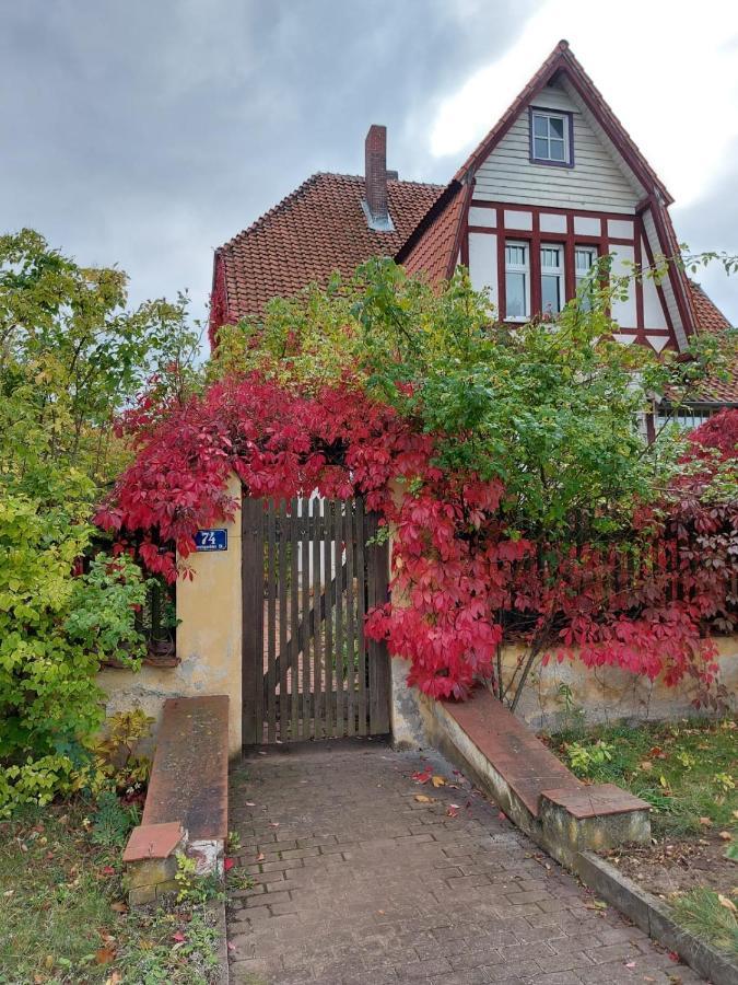 Stilvolles Ferienhaus Artdeco Wernigerode Eksteriør billede