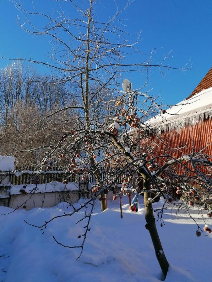 Stilvolles Ferienhaus Artdeco Wernigerode Eksteriør billede